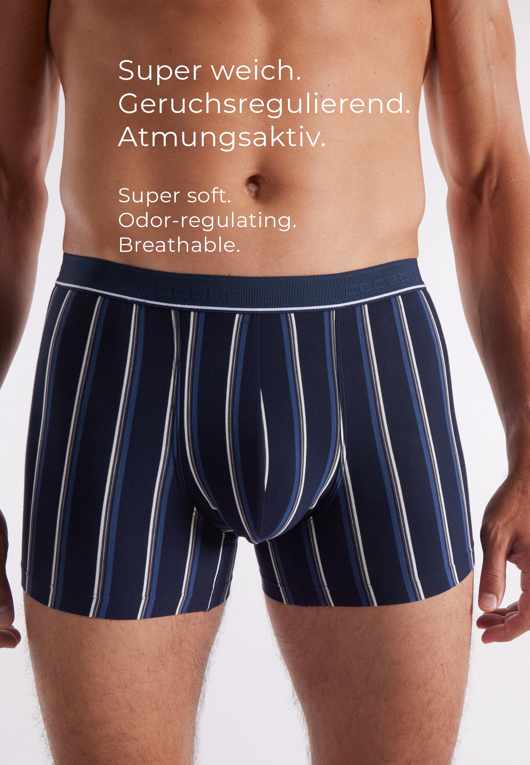 ceceba-herren-pants-blau-l-ngsgestreift-2er-pack-2 image 4