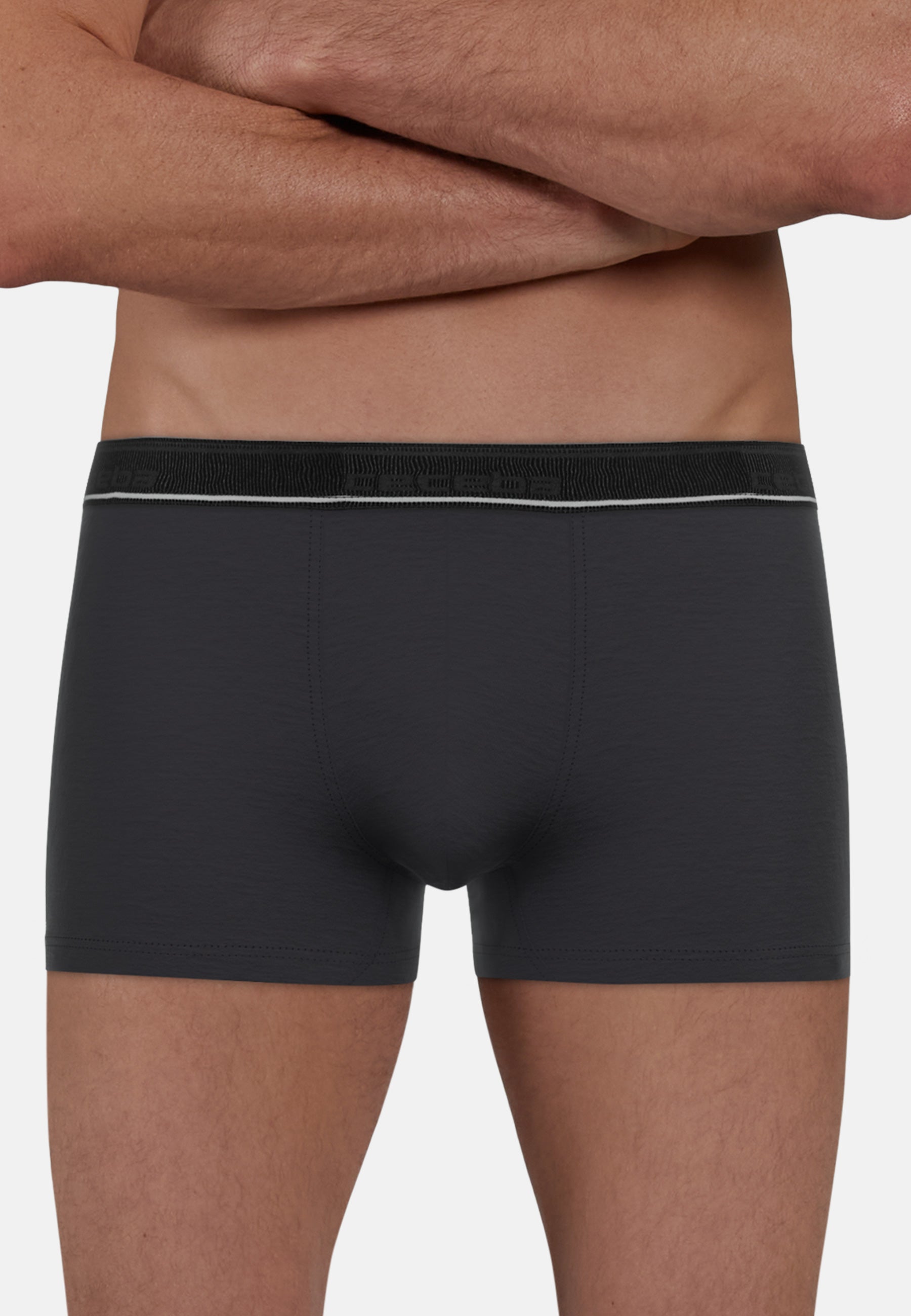 ceceba-herren-pants-grau-uni-2er-pack image 3