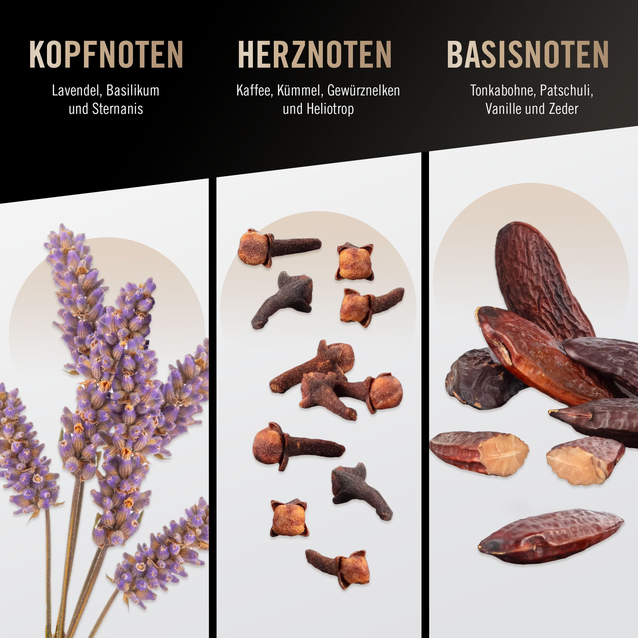 bruno-banani-man-eau-de-toilette-50ml-herb-aromatisches-herren-parf-m-natural-sp image 6