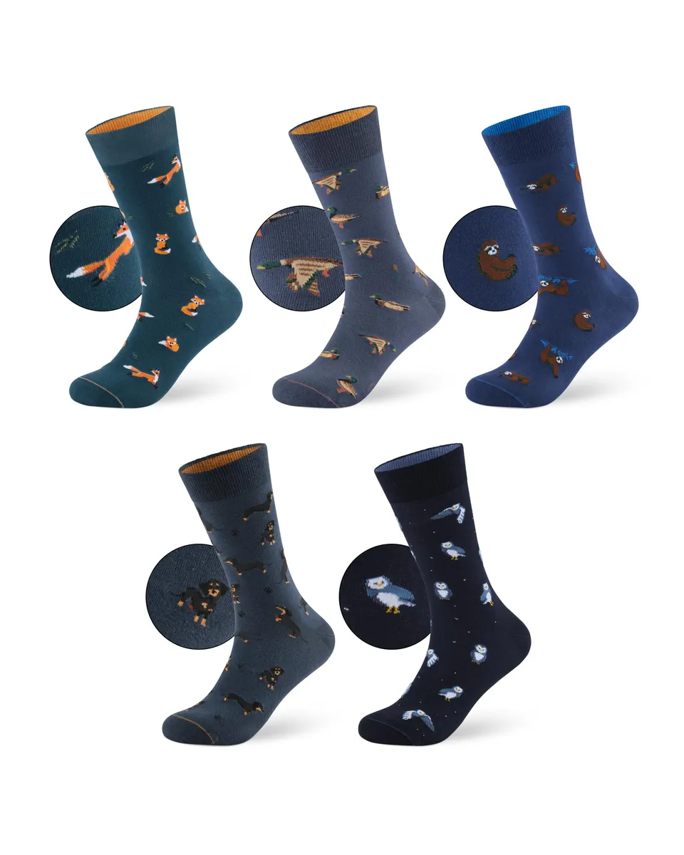 von-jungfeld-motivsocken-set-aus-bio-baumwolle-unisex-str-mpfe-im-geschenkset image 1