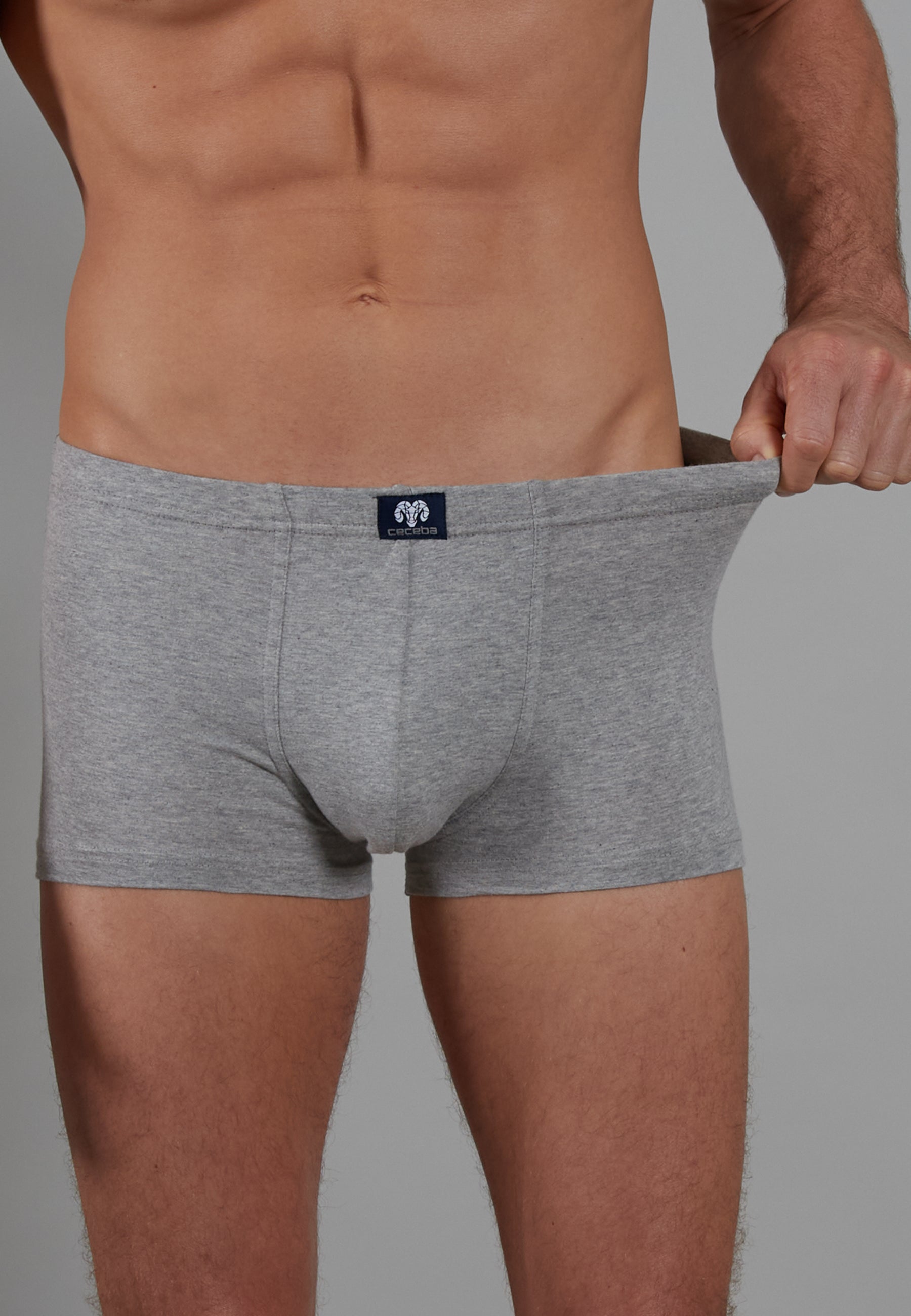 ceceba-herren-pants-grau-uni-2er-pack-single-jersey-slip image 4